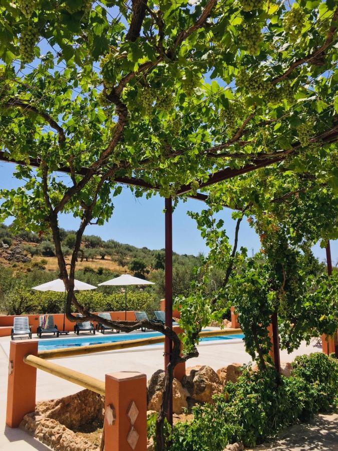Casa Rural Antonio Y Esperanza Periana المظهر الخارجي الصورة