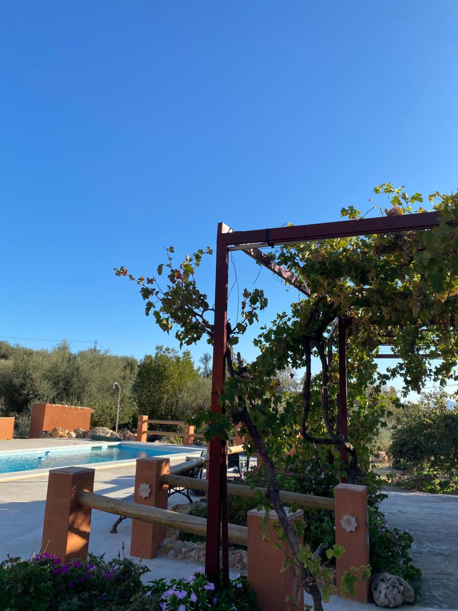 Casa Rural Antonio Y Esperanza Periana المظهر الخارجي الصورة