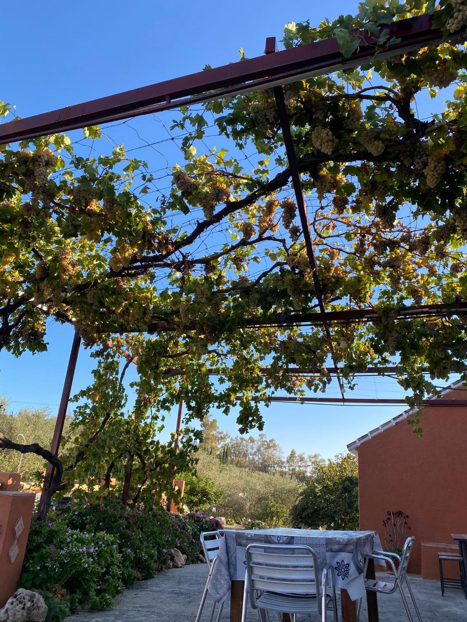 Casa Rural Antonio Y Esperanza Periana المظهر الخارجي الصورة