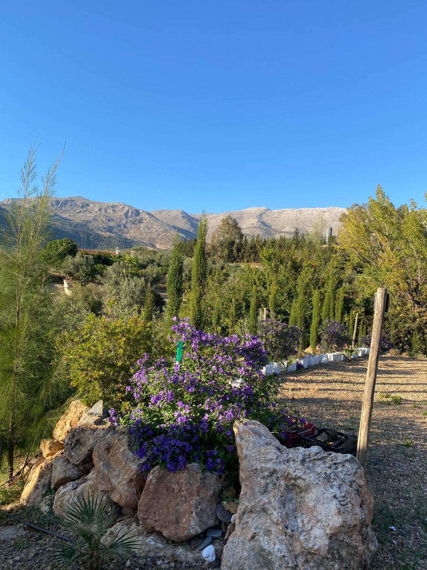 Casa Rural Antonio Y Esperanza Periana المظهر الخارجي الصورة