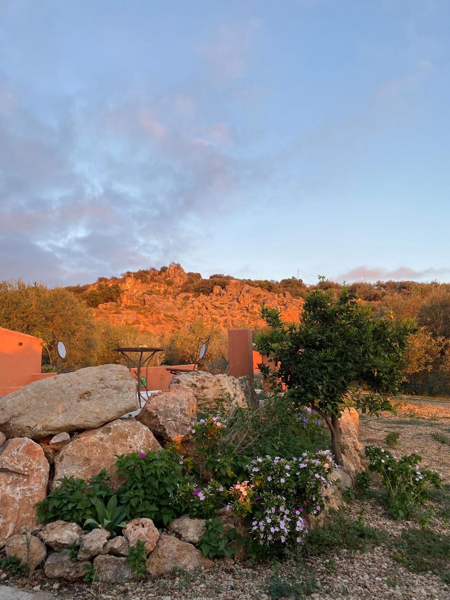 Casa Rural Antonio Y Esperanza Periana المظهر الخارجي الصورة