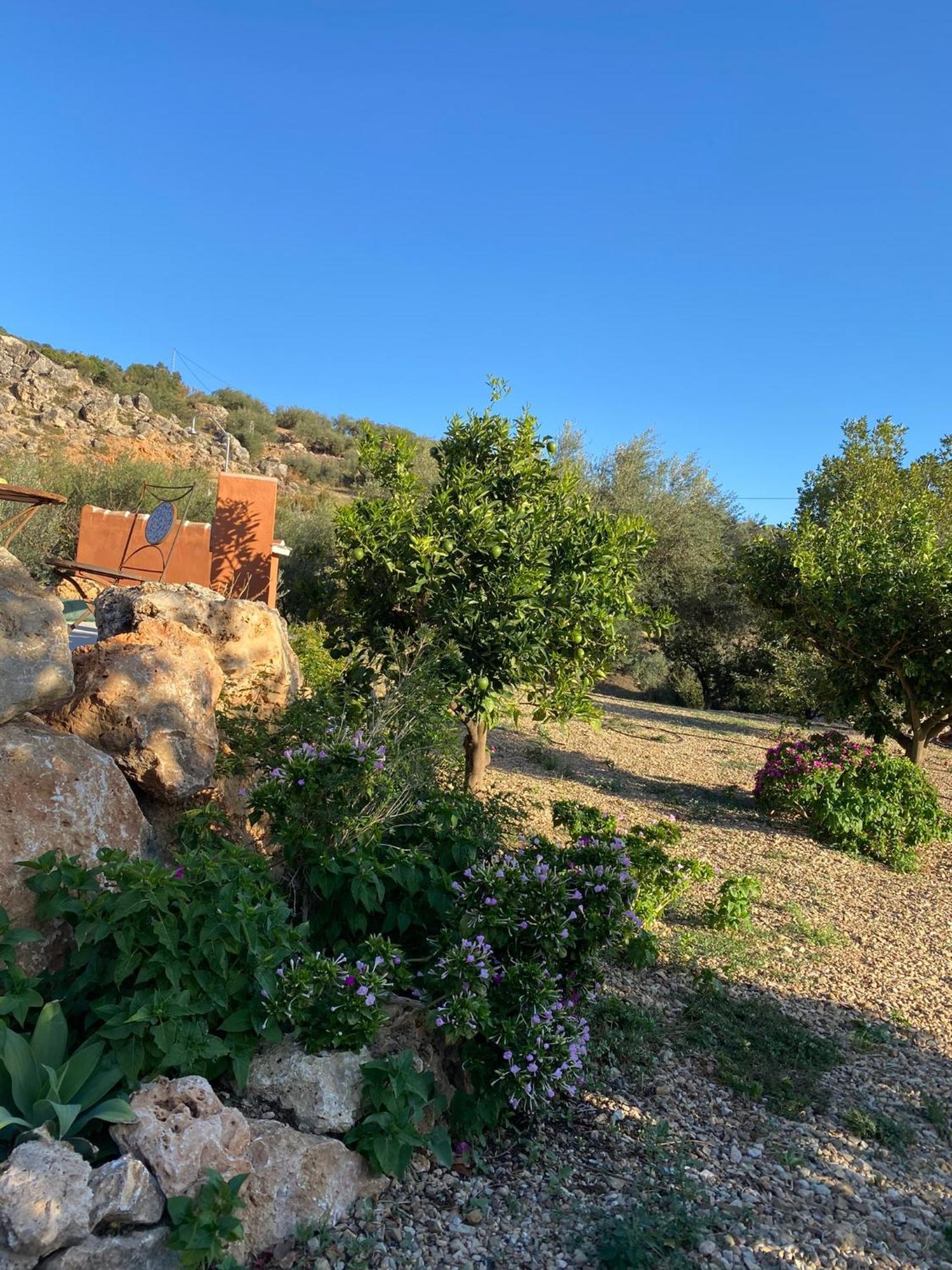 Casa Rural Antonio Y Esperanza Periana المظهر الخارجي الصورة